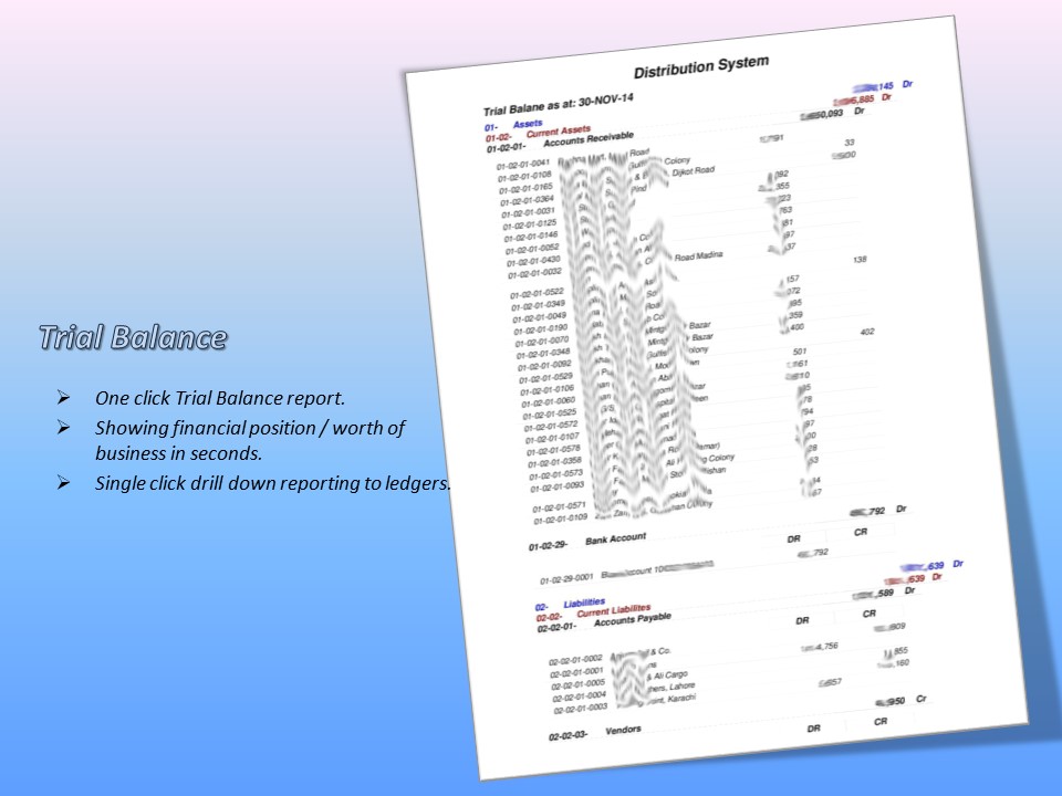 Trial Balance Report
